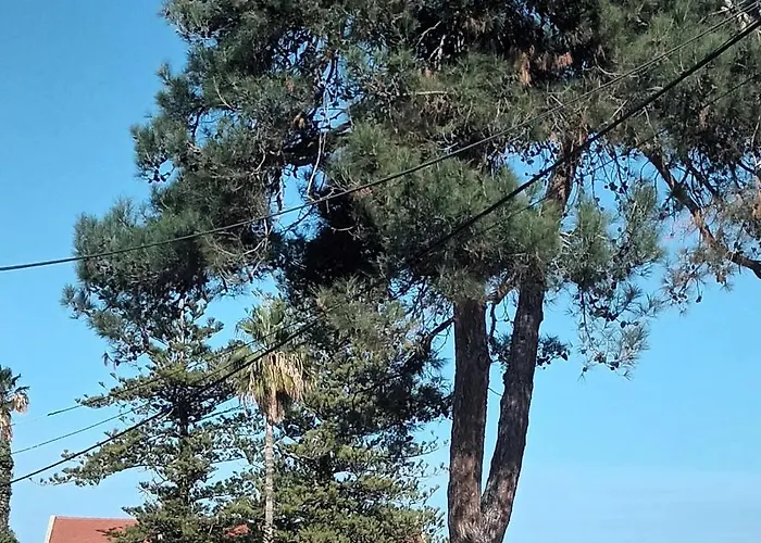 Estrella Apartament *